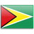 Real Estate Companies Guyana