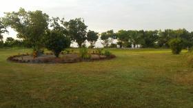Beachfront land for sale in Analanjirofo