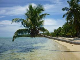Plot with 100m of private beach - Coco Beach