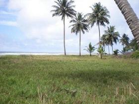 Beach front line land for sale