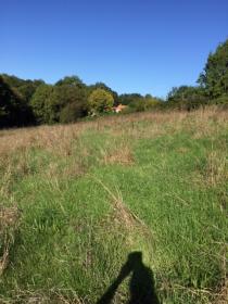 For sale building land 10,000 m2 15 minutes from Nantes