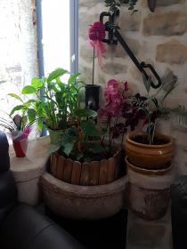 For sale Stone village house