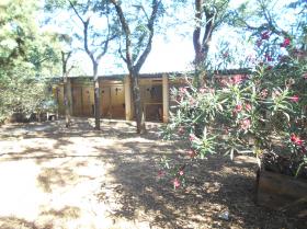 Pension for dogs and cats - Farm property on 26.600 m2