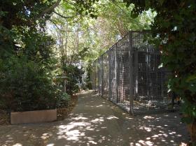 Pension for dogs and cats - Farm property on 26.600 m2