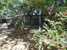Pension for dogs and cats - Farm property on 26.600 m2
