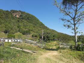 Rural land fit for animal breeding and resort