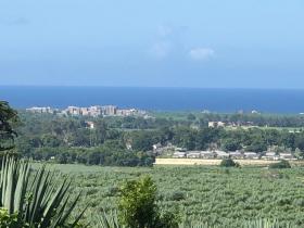 Flat land for sale next to Vipingo Ridge