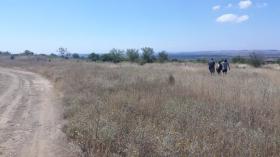 3 land plots for sale in Kosharitsa