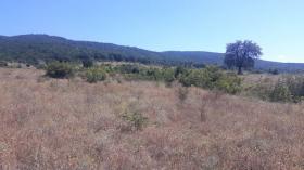 3 land plots for sale in Kosharitsa