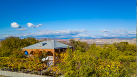 Large house with garden 40 minutes from Tbilisi