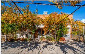 Large house with garden 40 minutes from Tbilisi