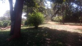 Large commercial coffee farm for sale near Kiambu town