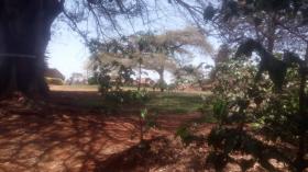 Large commercial coffee farm for sale near Kiambu town