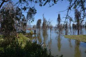 170 acres of lakefront property along lake Naivasha