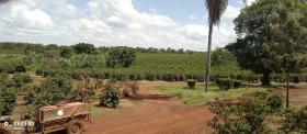 475 acre coffee farm for sale in Thika, Muranga County
