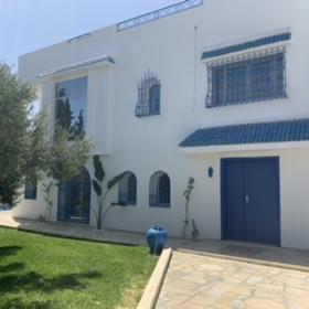 Villa in the middle of olive trees with sea view