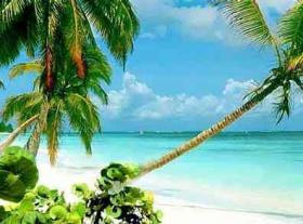 Magnificent land of 42 hectares with license for luxury hotel and 30 villas