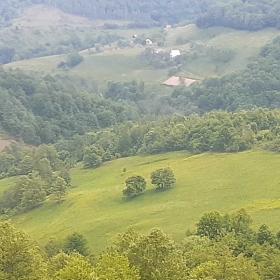For sale farm 16 ha land with houses and shed for animals