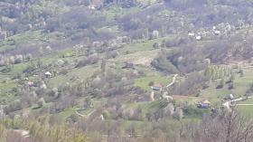 For sale farm 16 ha land with houses and shed for animals
