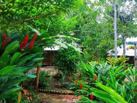 Land complex 70 ha in the jungle of Peru near the Amazon for sale immediately