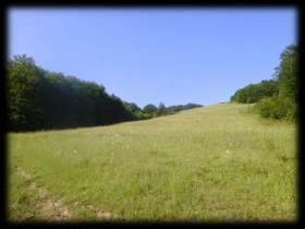 Ski slope, plot of land with the associated permit