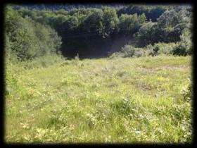 Ski slope, plot of land with the associated permit