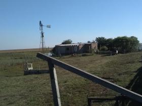 I am selling a 2000 hectare farm for breeding