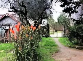Spacious property in need of renovation, 13.680m2 plot