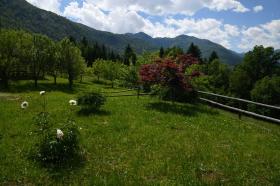 For sale exclusive apartment buildings - houses in Bohinj