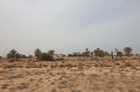 Building land with sea view in Djerba Island