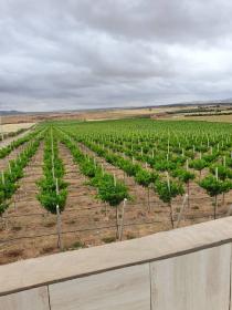 I am looking to sell 30 ha farm or economic partner