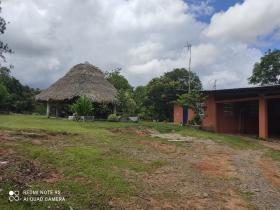 16 ha Land 15 minutes from downtown Penonomé