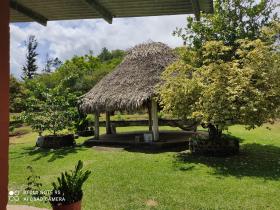 16 ha Land 15 minutes from downtown Penonomé