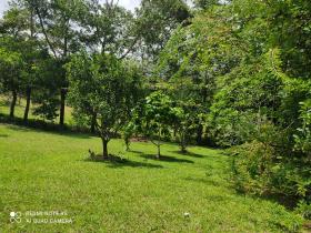 16 ha Land 15 minutes from downtown Penonomé
