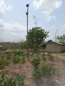 For sale agricultural farm 1.83 ha