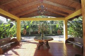 Hotel designed to enjoy nature and a jungle environment