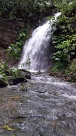 The 71 ha farm with waterfalls that originate in the mountains