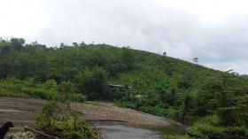 The 71 ha farm with waterfalls that originate in the mountains