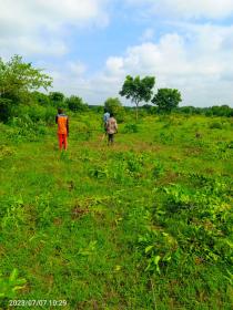 Agricultural plot 100 ha for agricultural or livestock project
