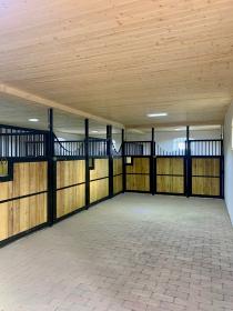 Horse farm at Lake Balaton
