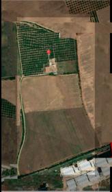 Incredible land of 75 hectares in Meknes