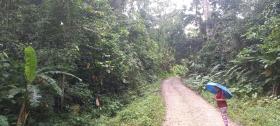 Beautiful finca ideal for constructing a one- to two-family house