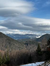 Building land 30,000 m2 + forest area 20,000 m2