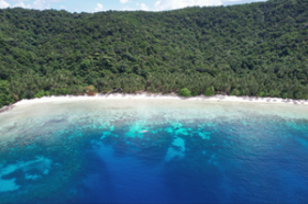 Nearly 4 hectares of prime tropical island beachfront