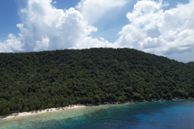 Nearly 4 hectares of prime tropical island beachfront