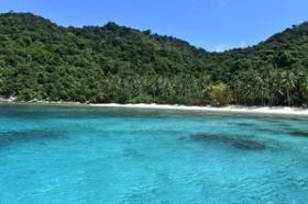 Nearly 4 hectares of prime tropical island beachfront