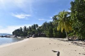 Over 3 hectares of paradise beachfront - new to the market