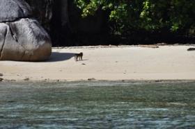 Over 3 hectares of paradise beachfront - new to the market