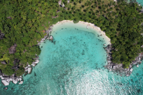 Dual Beach Frontage, existing coconut plantation, amazing headland with seasonal waterfall