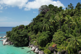 Dual Beach Frontage, existing coconut plantation, amazing headland with seasonal waterfall